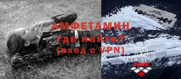 мет Алексин