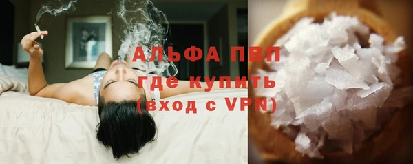 прущие грибы Арсеньев