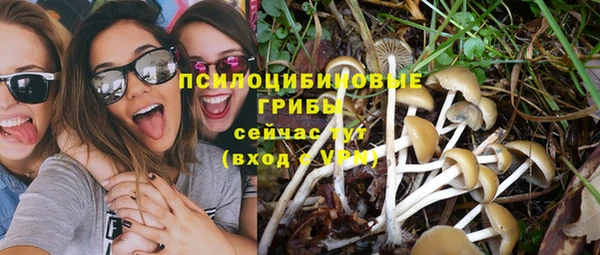мет Алексин