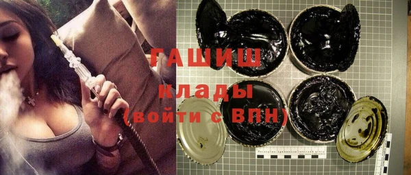 спиды Ельня