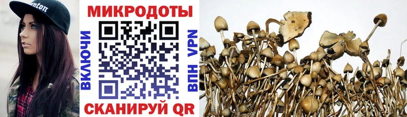 Псилоцибиновые грибы GOLDEN TEACHER Аткарск