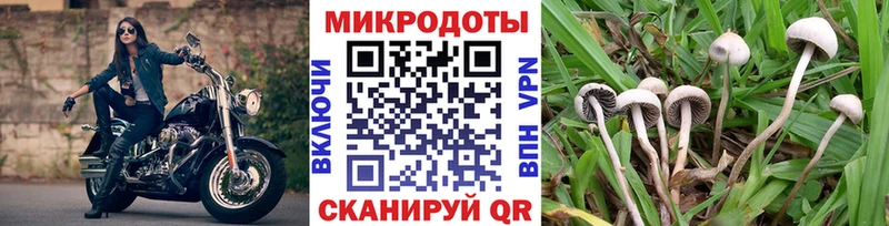 mega рабочий сайт  Аткарск  Галлюциногенные грибы мицелий  купить закладку 